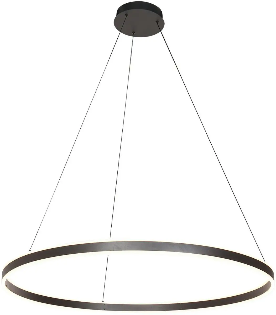 Steinhauer Ringlux 3676ZW Hanglamp