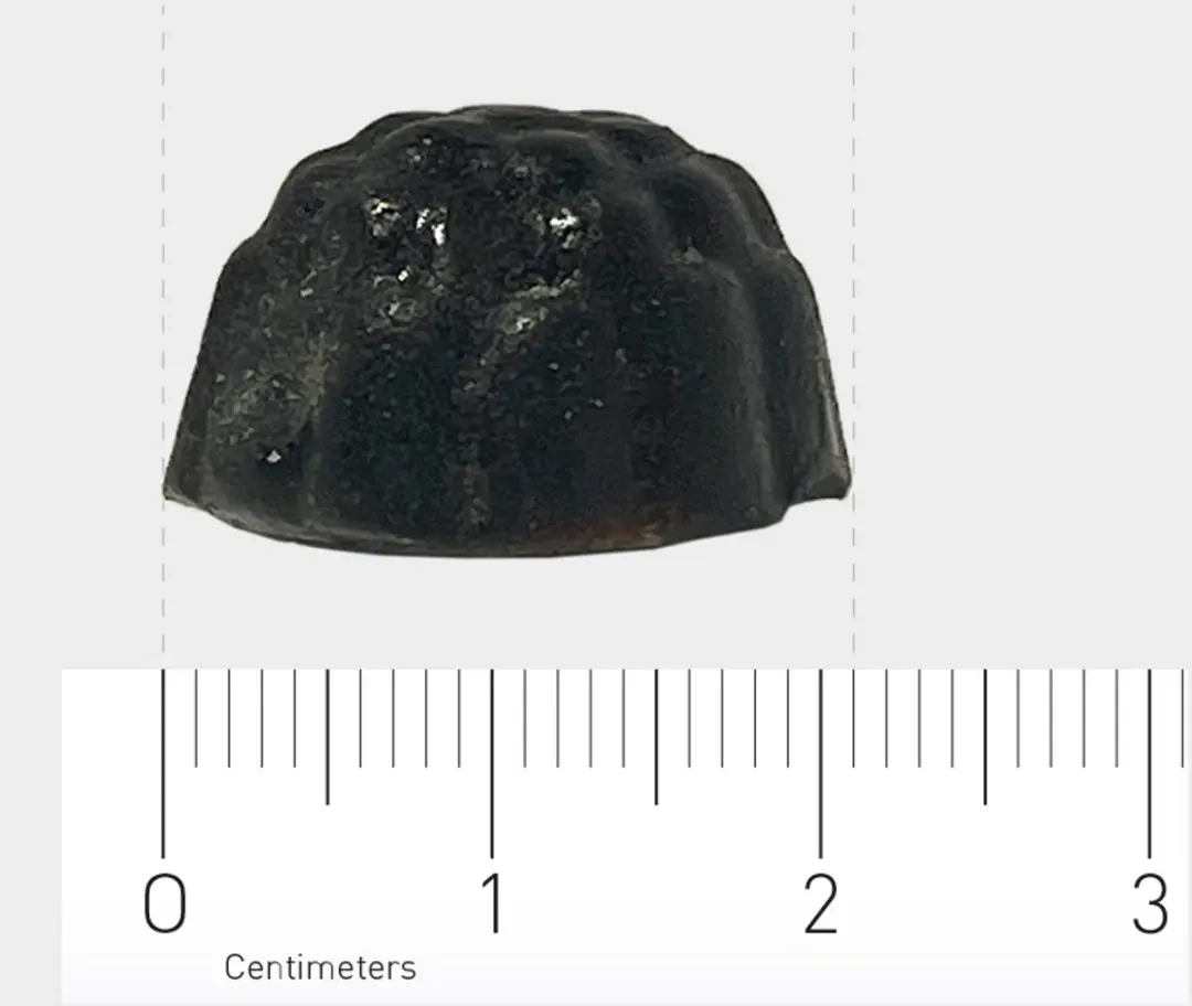 Orthica Dino Weerstand Gummies - 60 Stuks