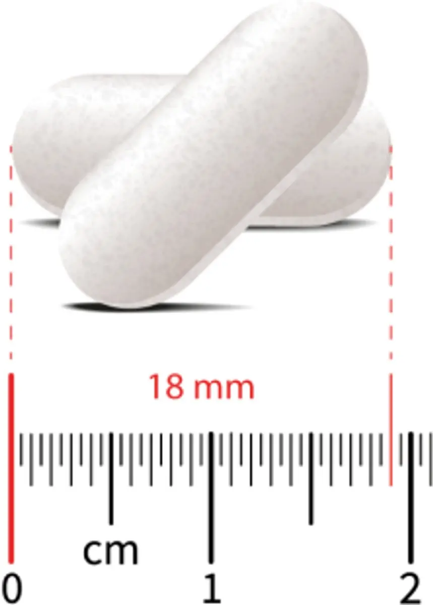 Wapiti Knoflook 2000 - 30 Tabletten