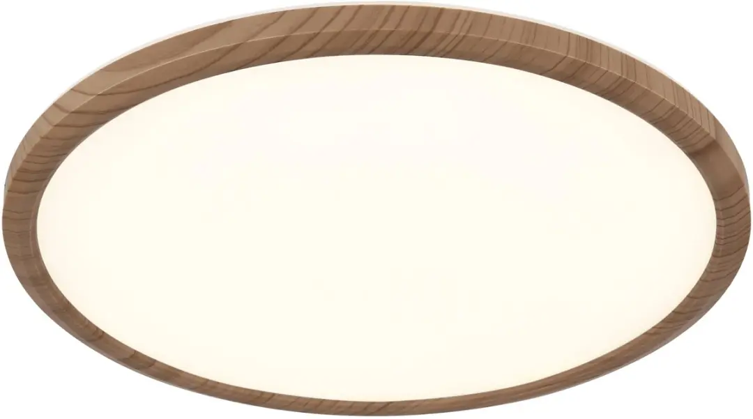 Globo Sapana LED Plafondlamp