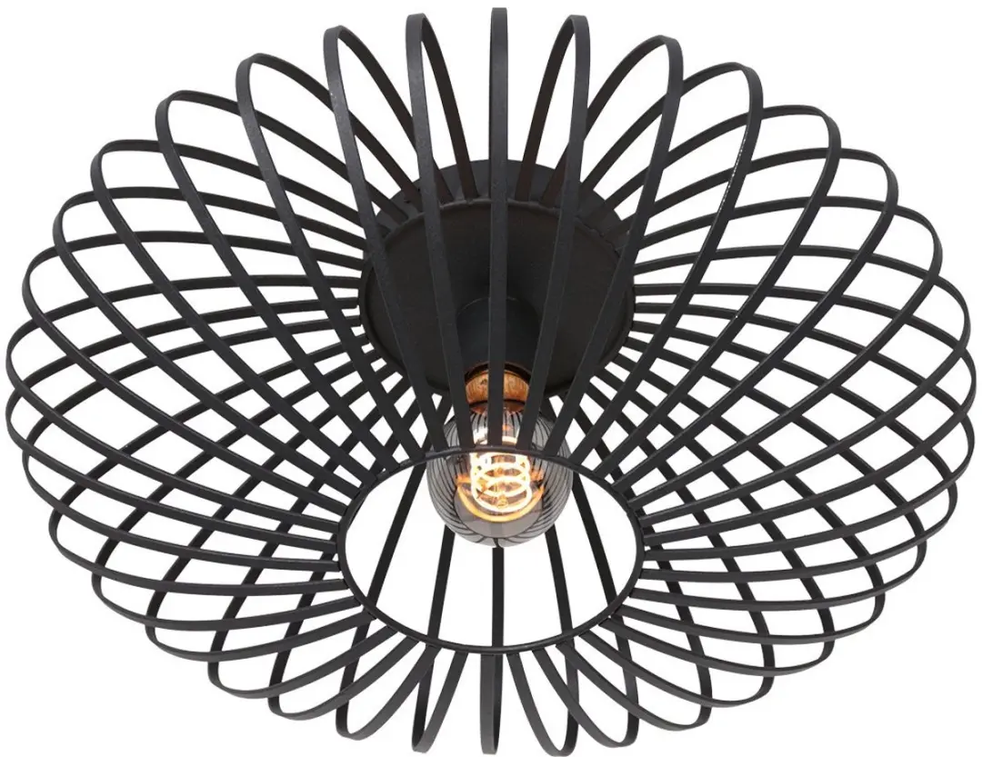 Steinhauer Dunbar AN Plafondlamp 40cm