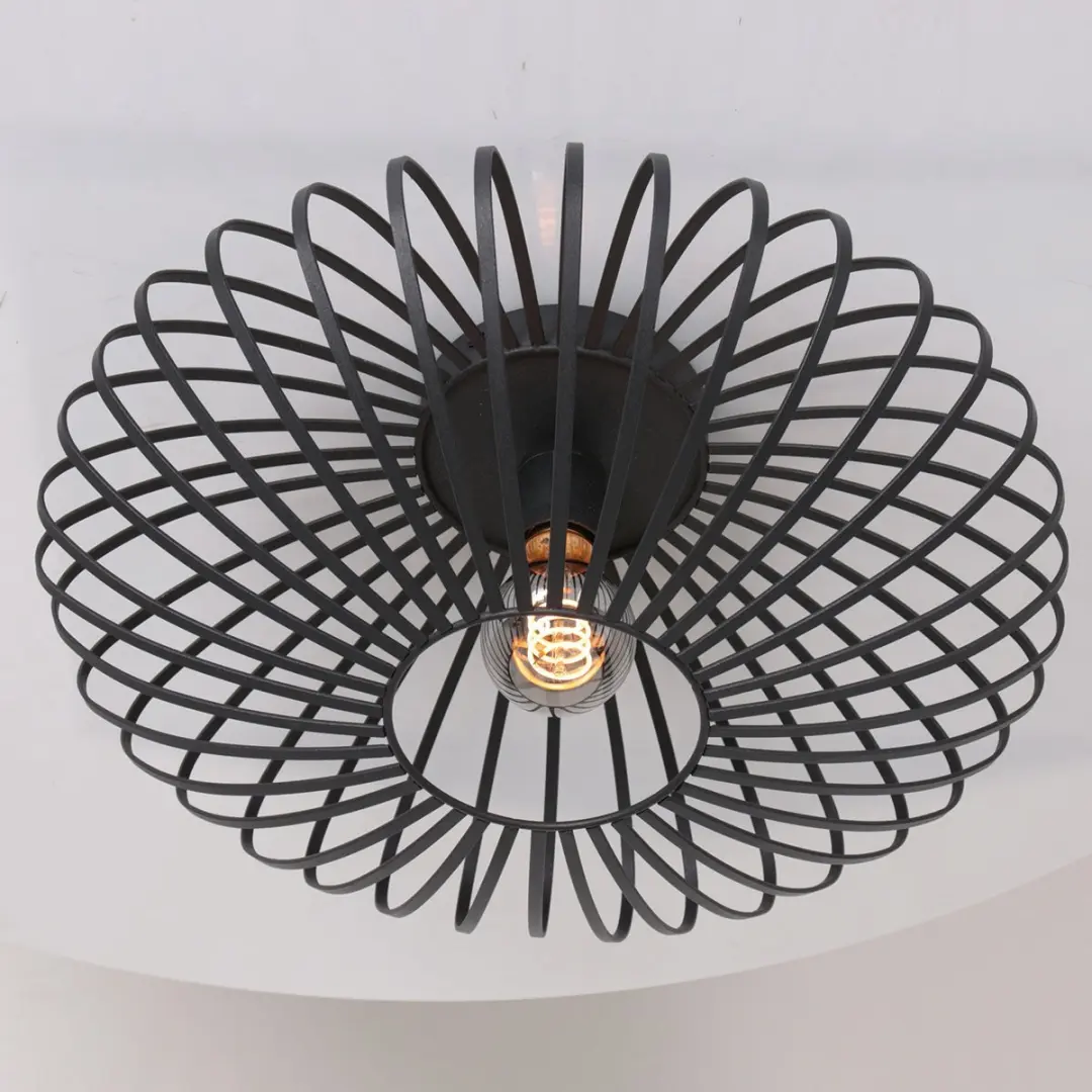 Steinhauer Dunbar AN Plafondlamp 40cm - Zwart