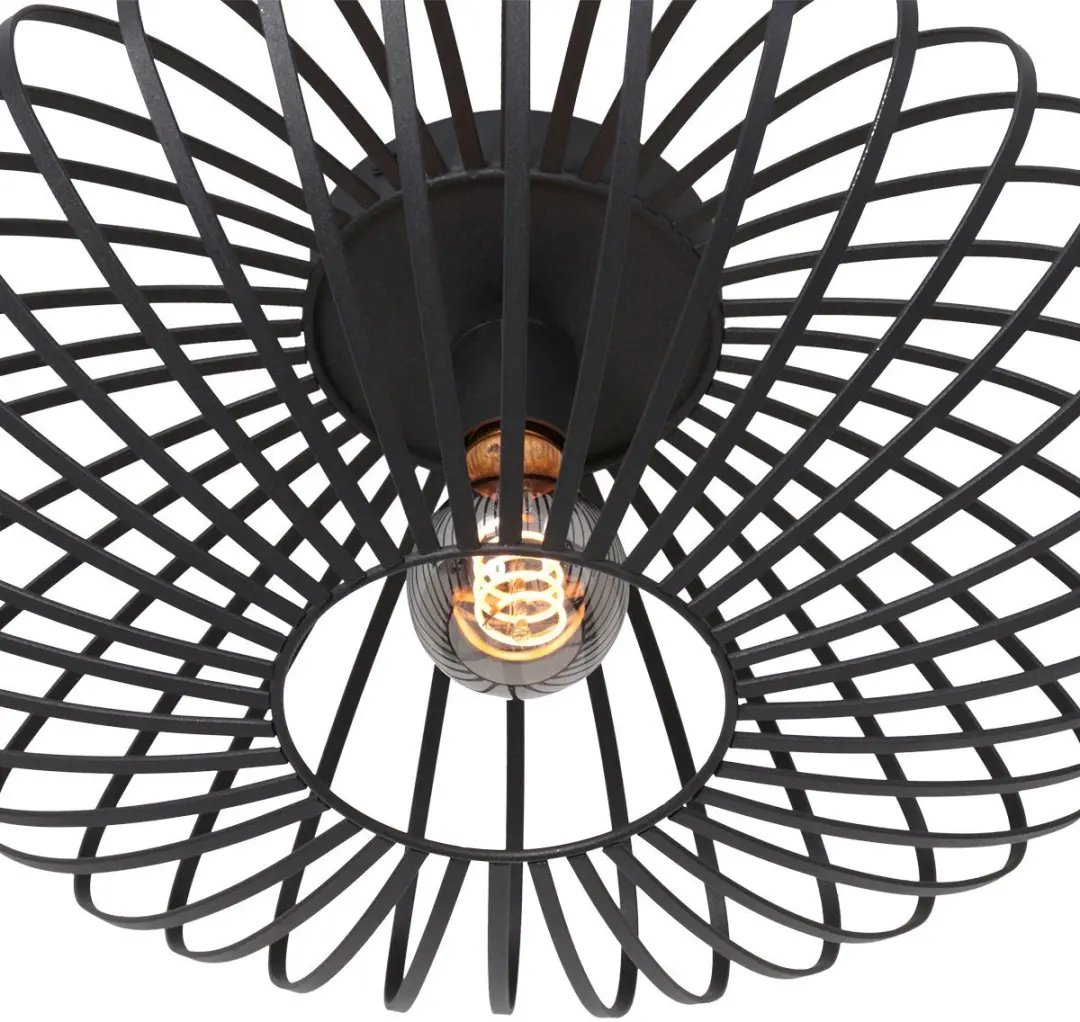 Steinhauer Dunbar AN Plafondlamp 40cm - Zwart