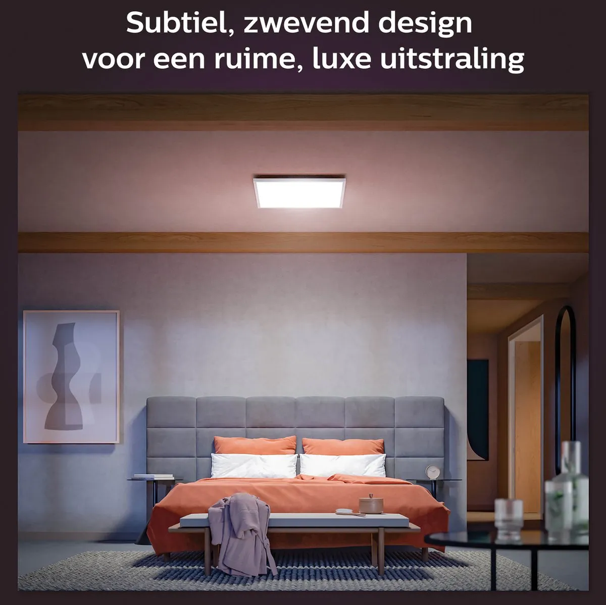 Philips Hue Surimu Paneellamp - 60cm - RGB/Wit