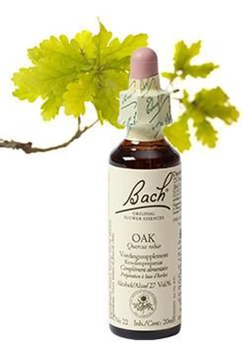 Bach Flower 22 Zomereik - 20ml Voedingssupplement - afbeelding 6 van 6