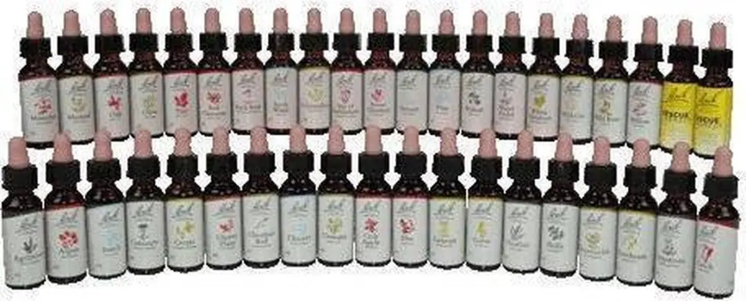 Bach Flower 22 Zomereik - 20ml Voedingssupplement