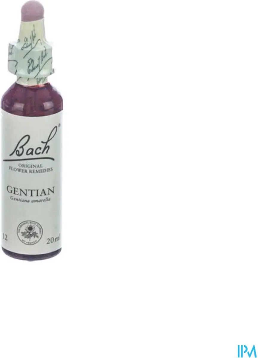 Gentian/Gentiaan Bach