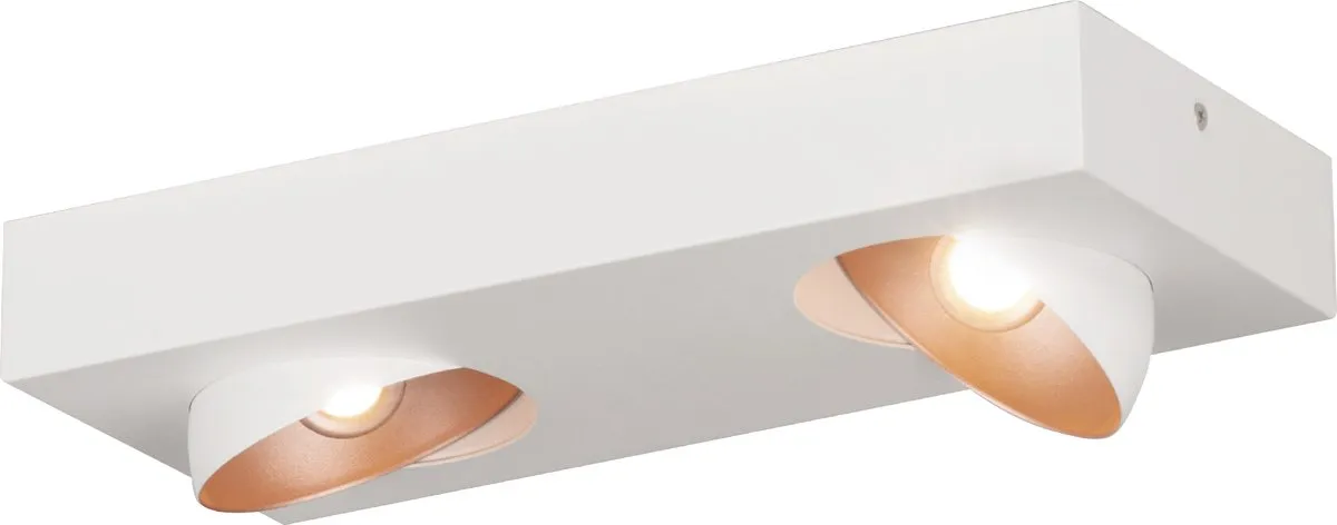 Eglo Ronzano Wand/Plafondlamp 2-lichts