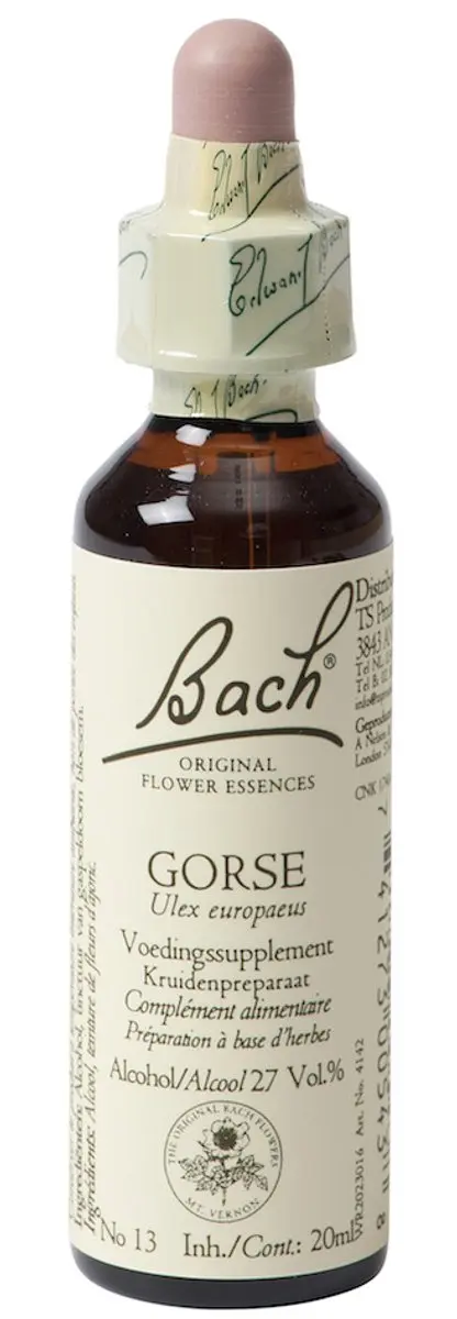 Gorse/Gaspeldoorn Bach