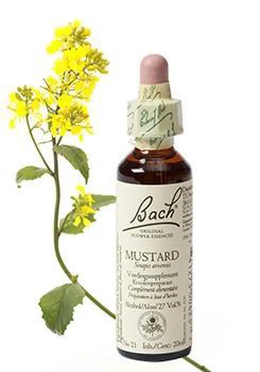 Bach Mustard/Herik - 20 ml