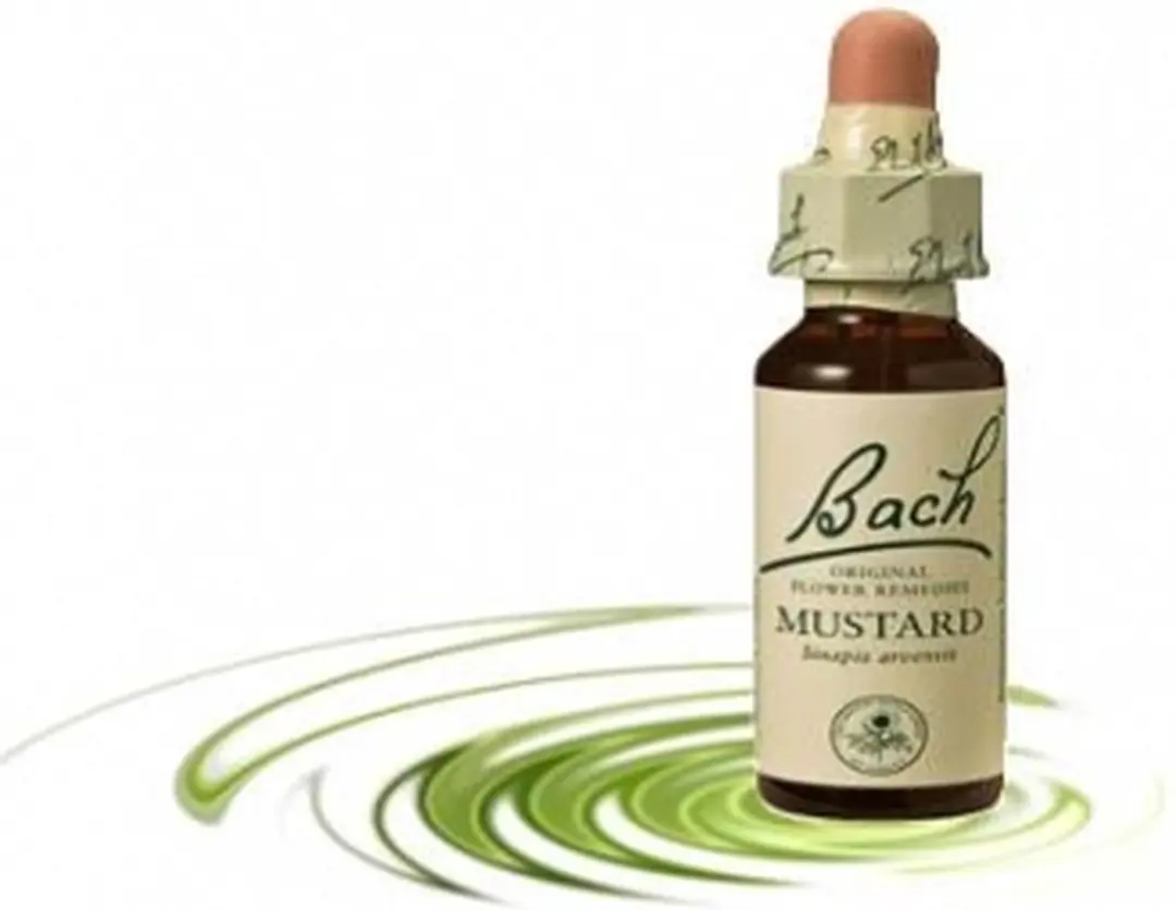 Bach Mustard/Herik - 20 ml