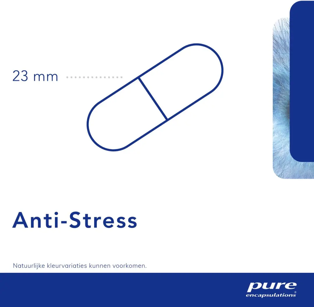 Pure Encapsulations Anti-Stress 60 Capsules