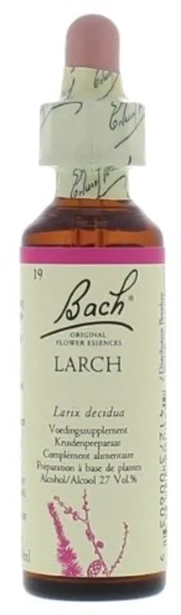 Bach Flower 19 Lariks