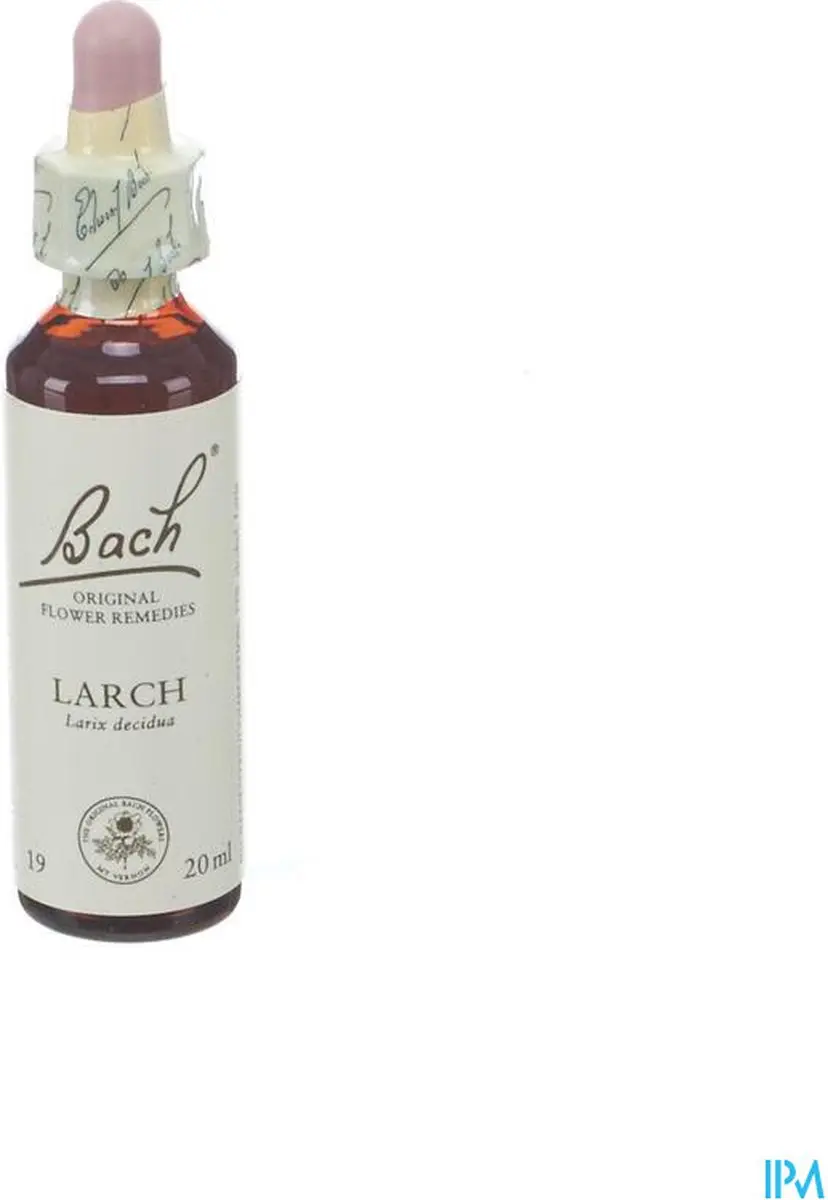 Bach Flower 19 Lariks