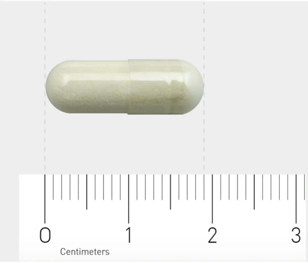 Orthica Enzym Complex 120g