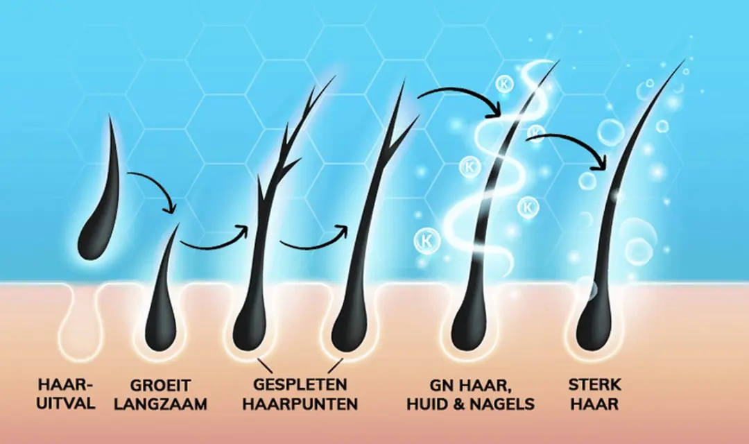 Golden Naturals Haar Huid & Nagels 120 Capsules