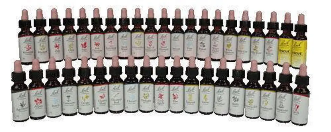 Bach Star of Bethlehem 20ml Voedingssupplement