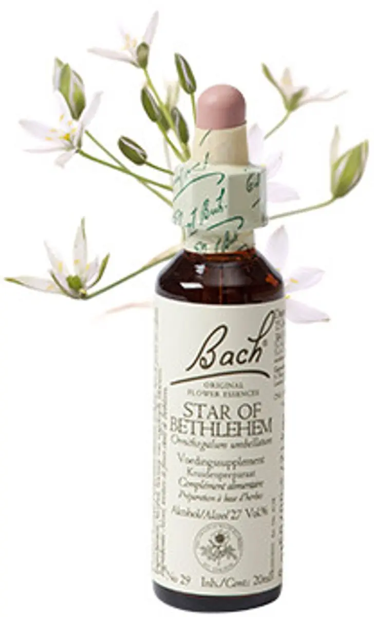 Bach Star of Bethlehem 20ml Voedingssupplement - afbeelding 6 van 6