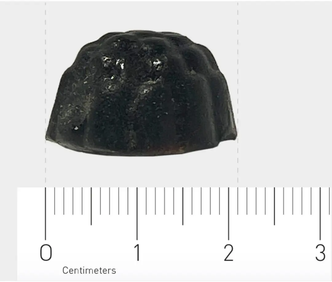 Orthica Weerstand Gummies - 60 Stuks