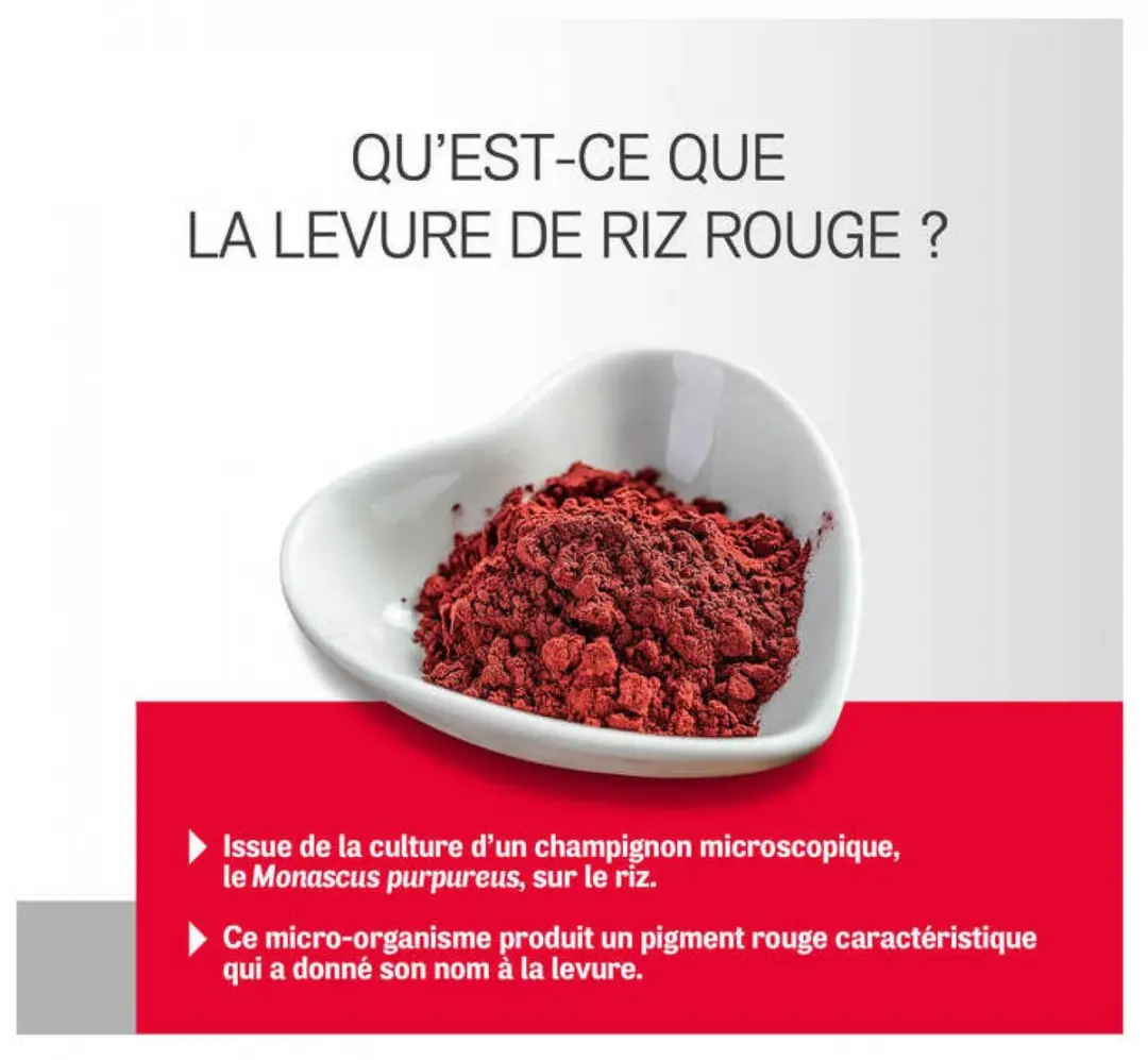 Arterin Rode Rijstgist 120 Tabletten