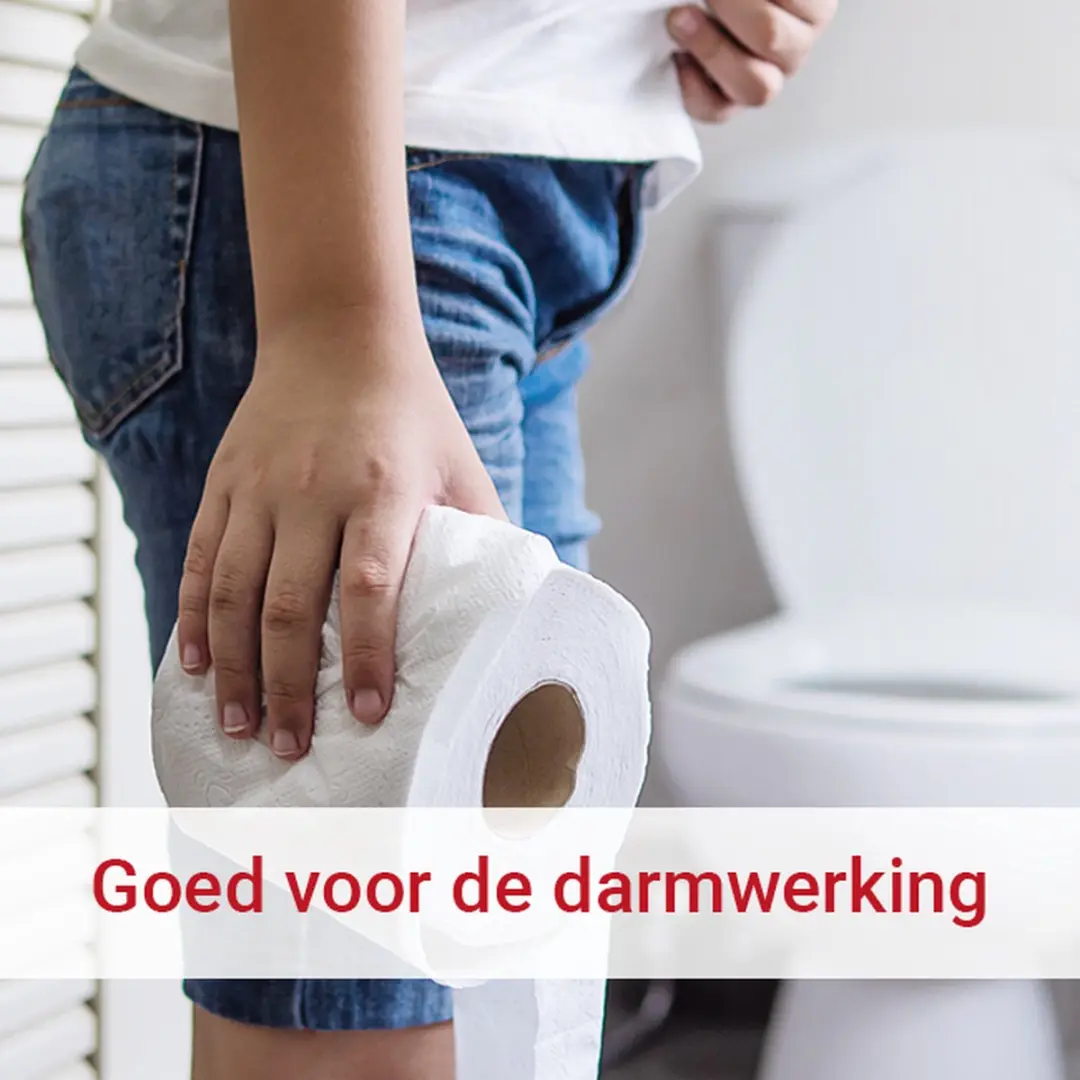 Vitalize Darmbalans Capsules 45 Stuks - Artisjok & Gember