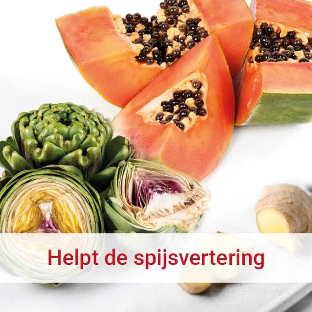 Vitalize Darmbalans Capsules 45 Stuks - Artisjok & Gember