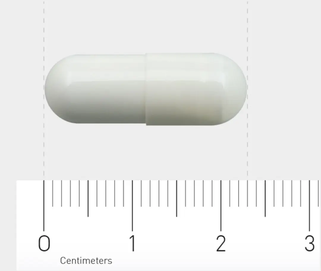 Orthica L-Glutamine-500 - 120 Capsules
