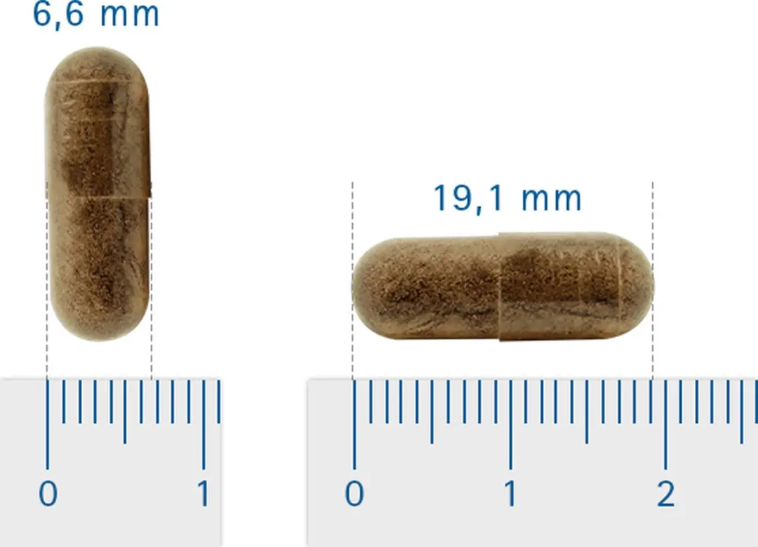 Vitalize Zwarte Knoflook 60 Capsules