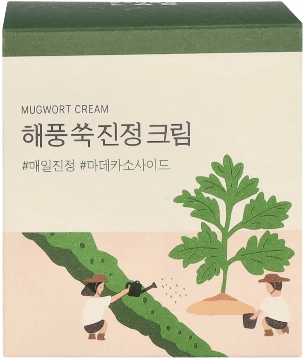 Round Lab Mugwort Calming Cream 80ml