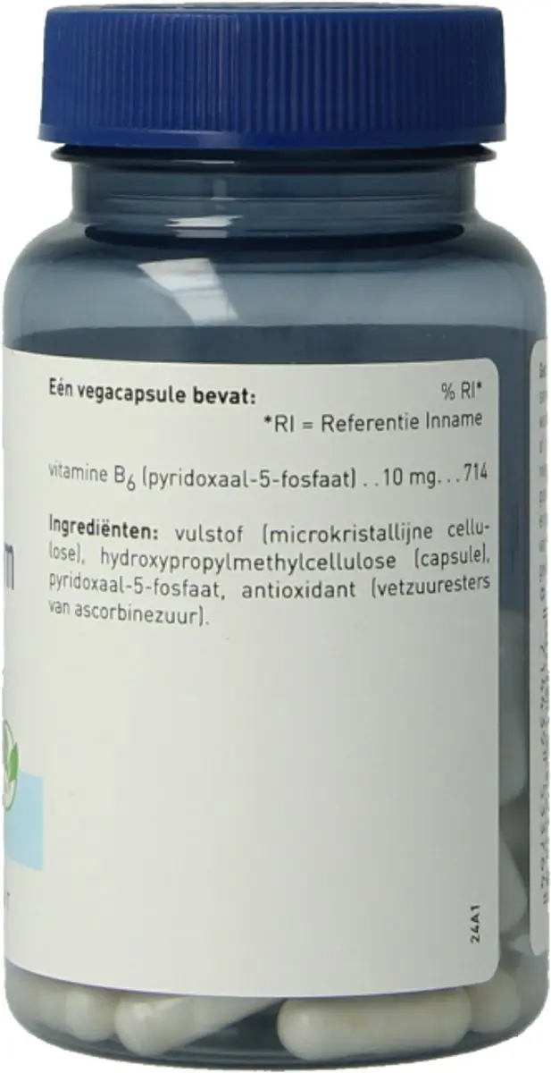 Orthica B6-10 Co-Enzym Vitamine B6 60 Vegacapsules