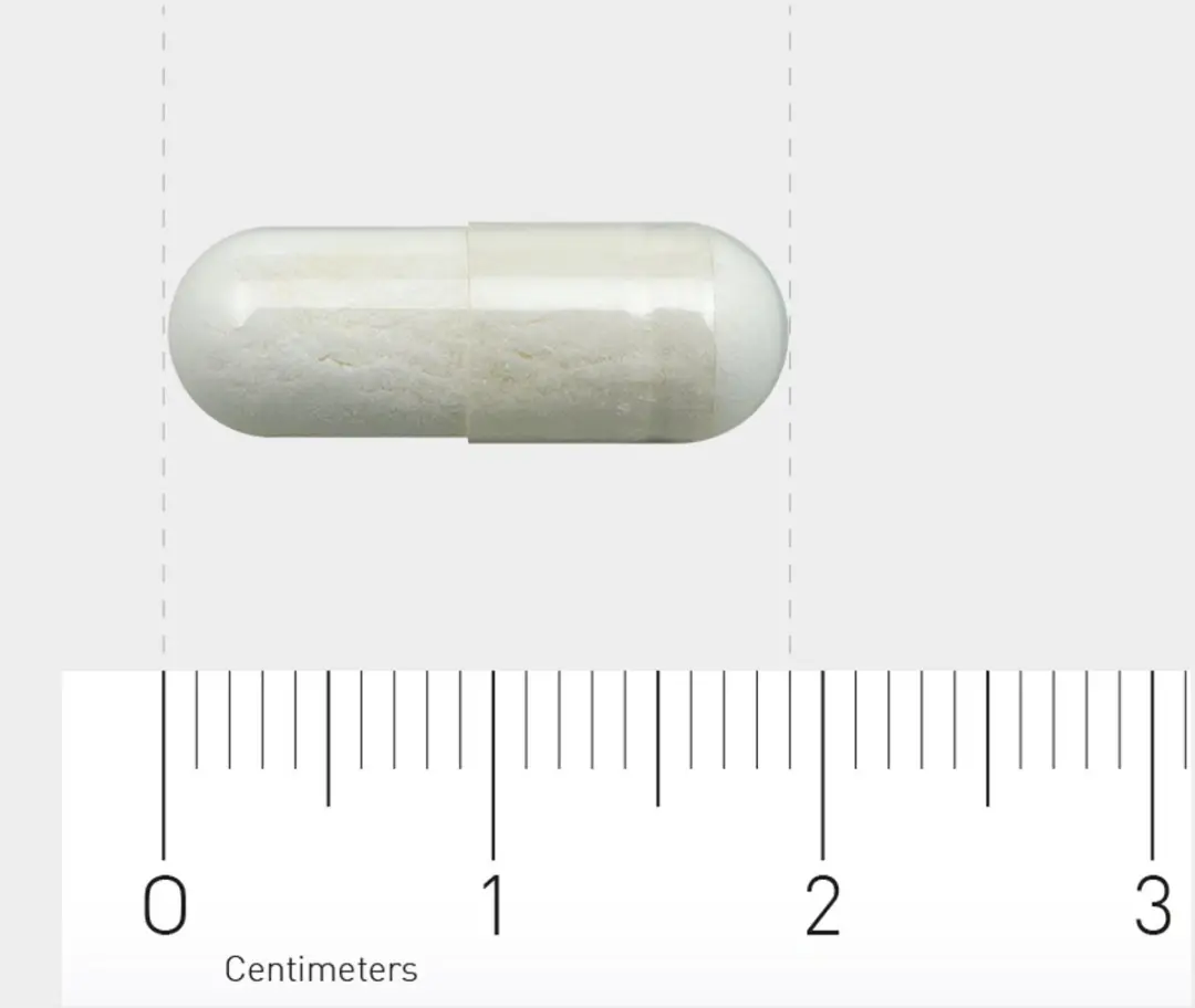 Orthica B6-10 Co-Enzym Vitamine B6 60 Vegacapsules