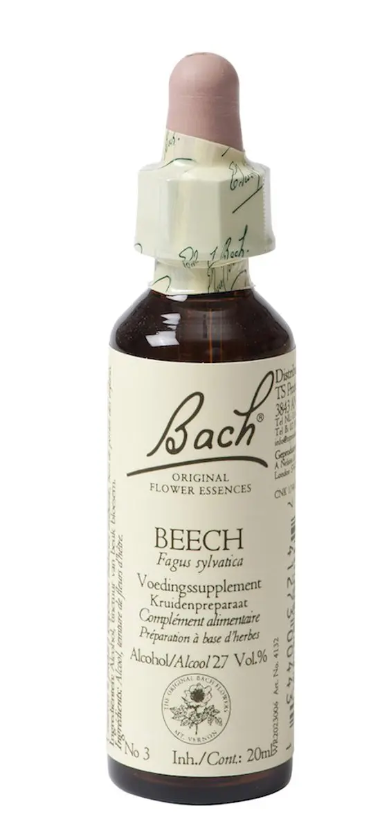 Beech/Beuk Bach