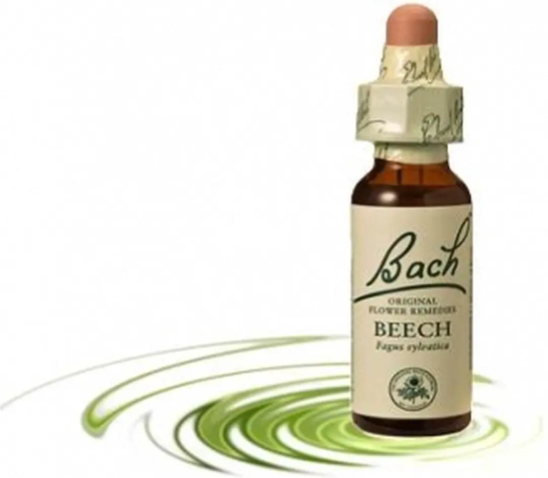 Beech/Beuk Bach