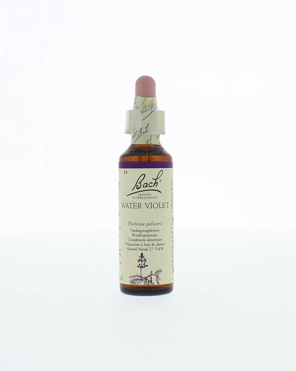 Water Violet/Waterviolier Bach
