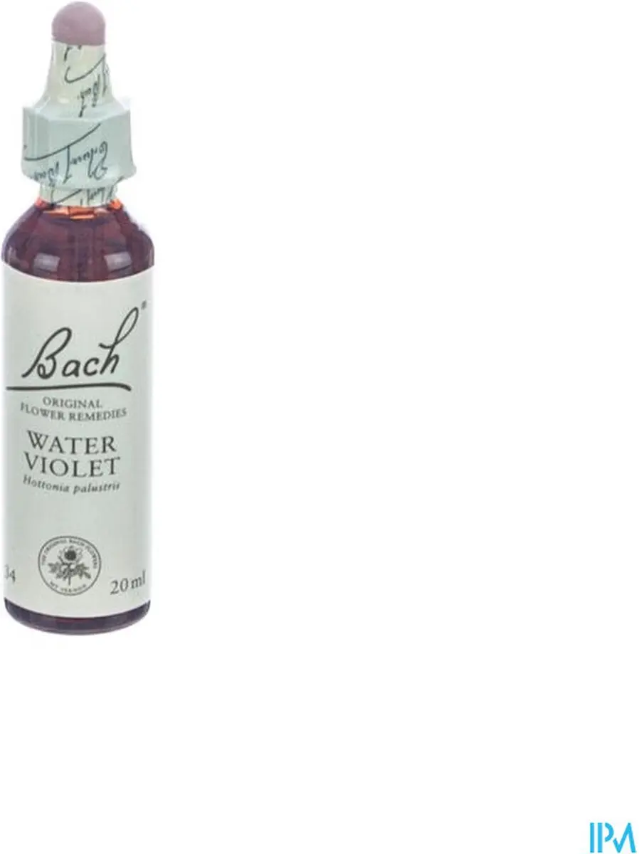 Water Violet/Waterviolier Bach