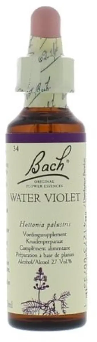 Water Violet/Waterviolier Bach