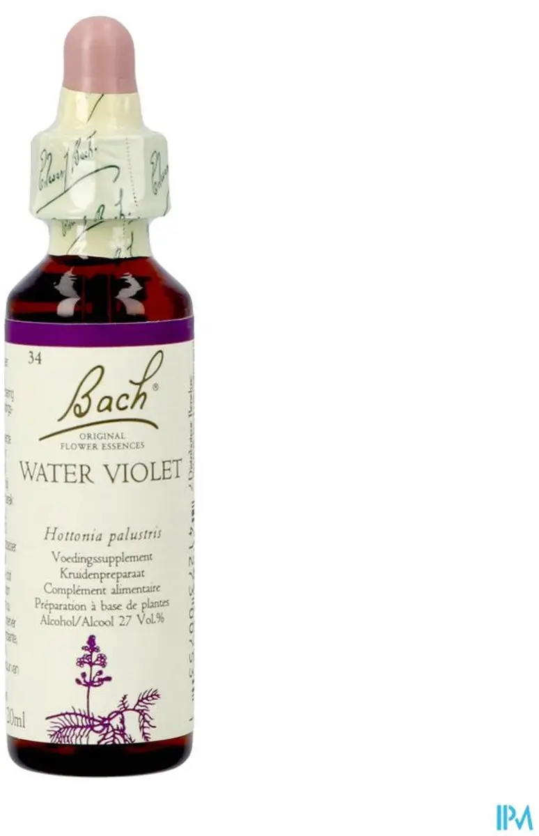 Water Violet/Waterviolier Bach
