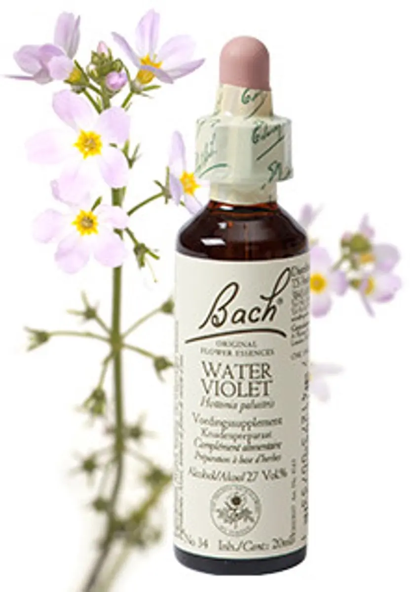 Bach Water Violet 20ml - afbeelding 6 van 6