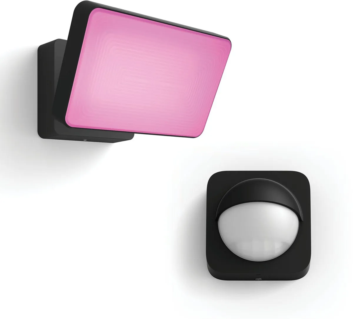 Philips Hue Discover Verstraler Zwart