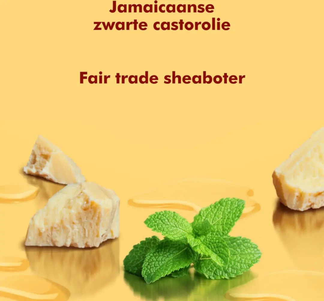 Shea Moisture Jamaican Black Castor Oil Shampoo 384ml