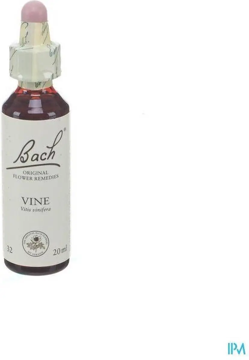Vine/Wijnrank Bach