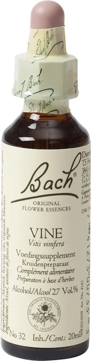 Vine/Wijnrank Bach