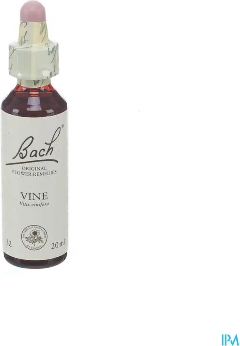 Vine/Wijnrank Bach