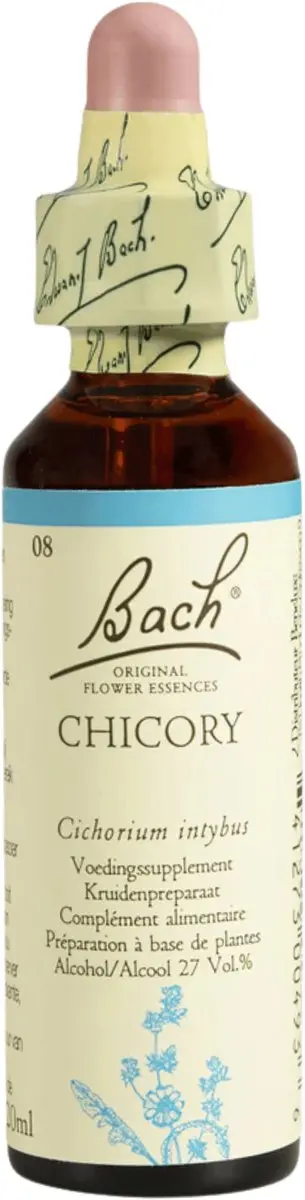 Chicory/Cichorei Bach