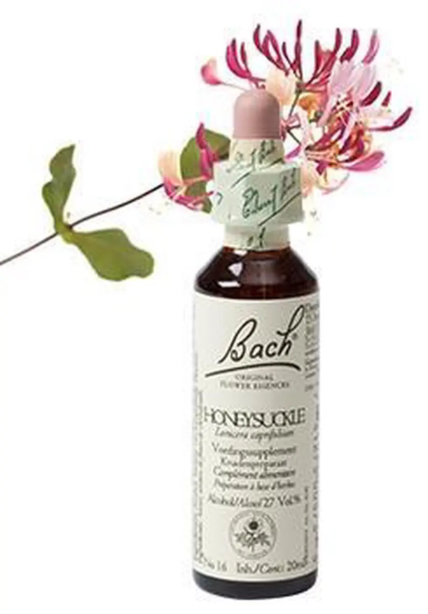 Bach Flowe Honeysuckle 20ml Voedingssupplement