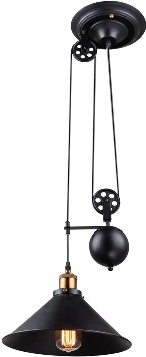 Globo Lenius Hanglamp - Ø30cm - Zwart - E27