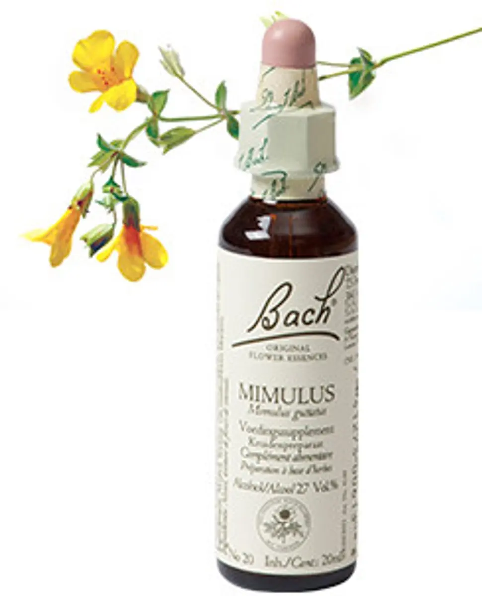 Bach Mimulus Voedingssupplement 20ml - afbeelding 6 van 6