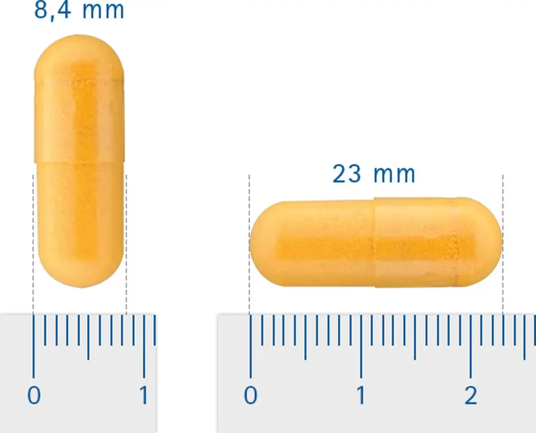 Vitalize Groenlipmossel Complex Forte 60 Capsules