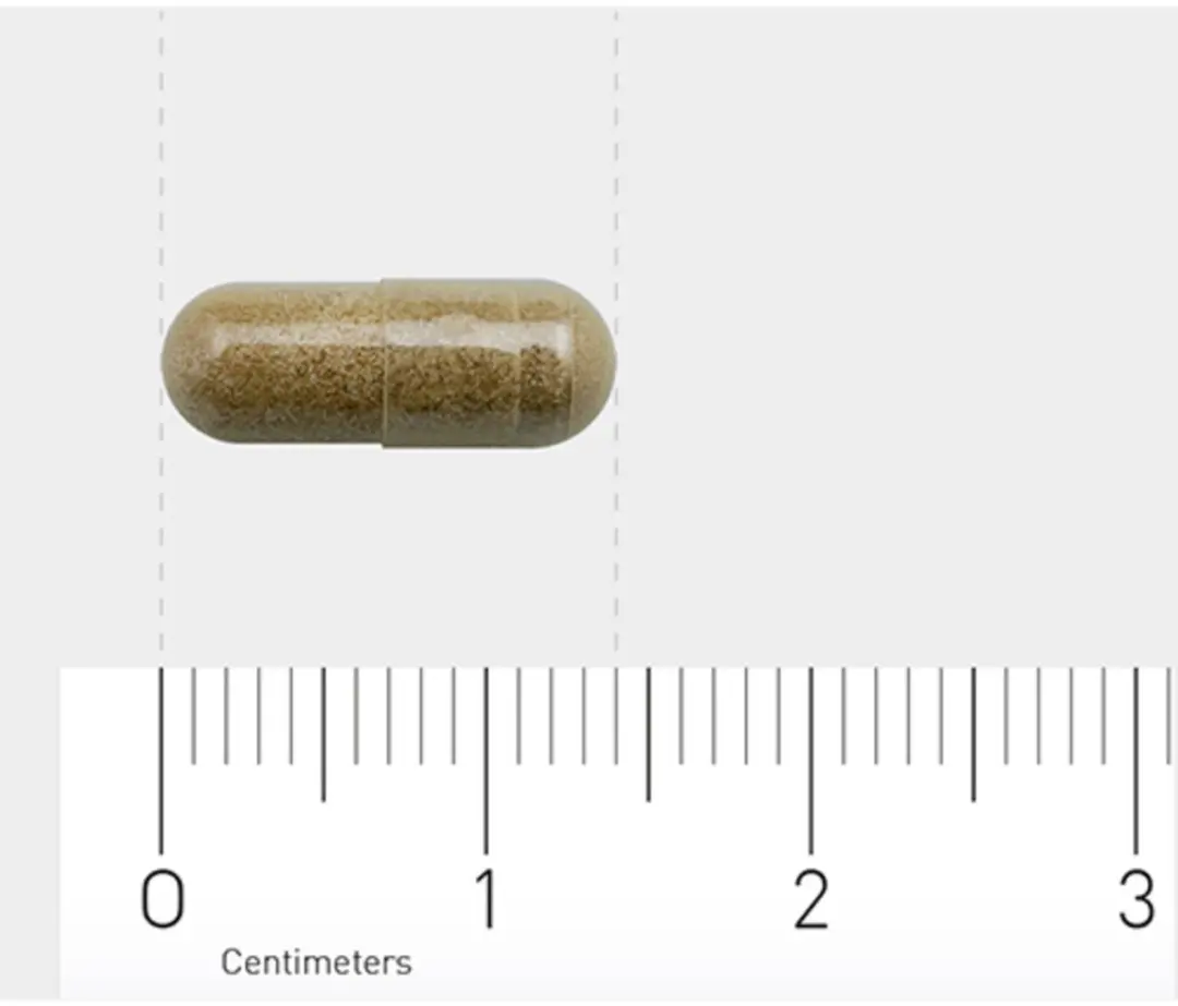 Orthica Weerstand Kuur 60 Capsules - 2x30