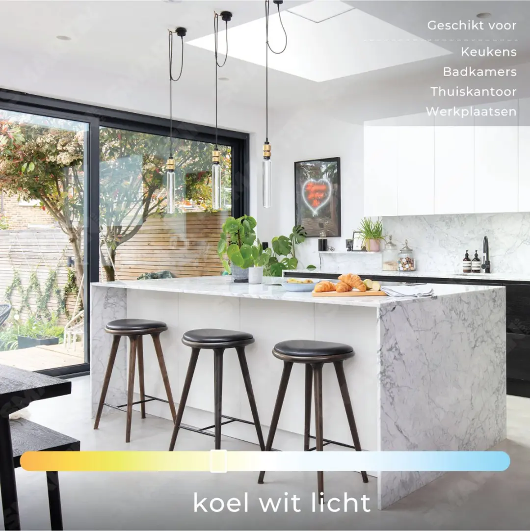 Philips LED TL-E Circular Spaarlamp G10q 32W Koel Wit - 2 Stuks